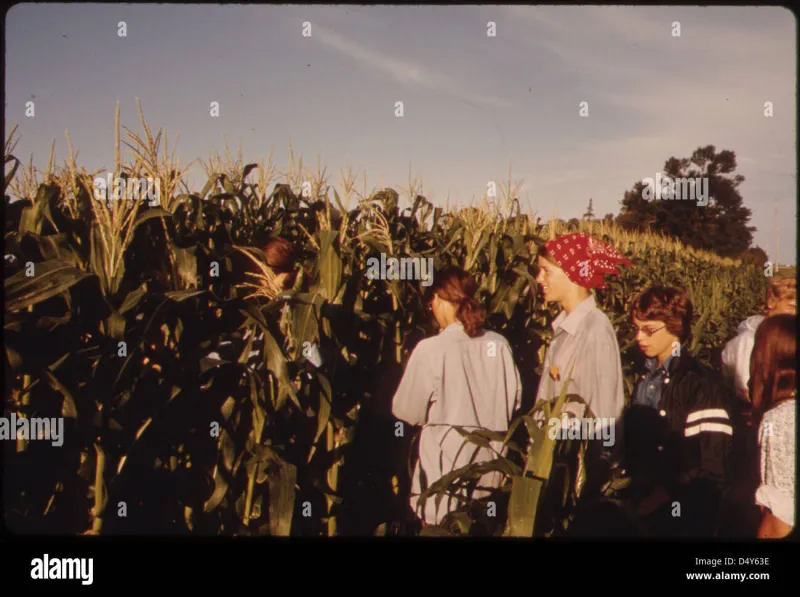 Detasseling Corn at Dawn: The Summer Job That Turned Teenagers Into Something Else